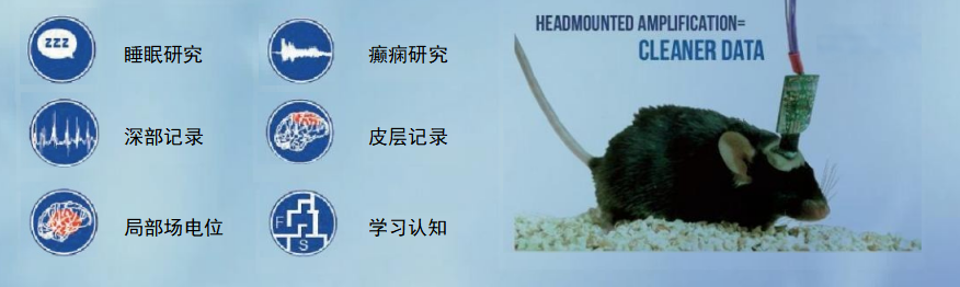 主图